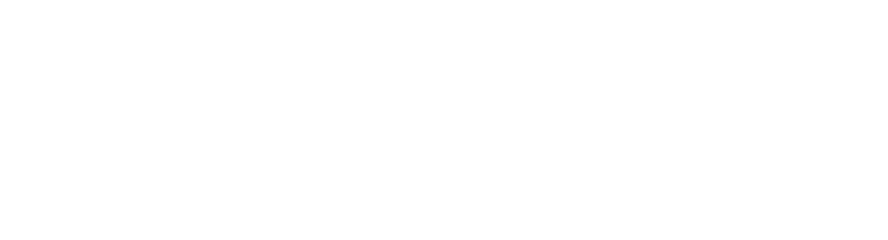 Virtusa Logo